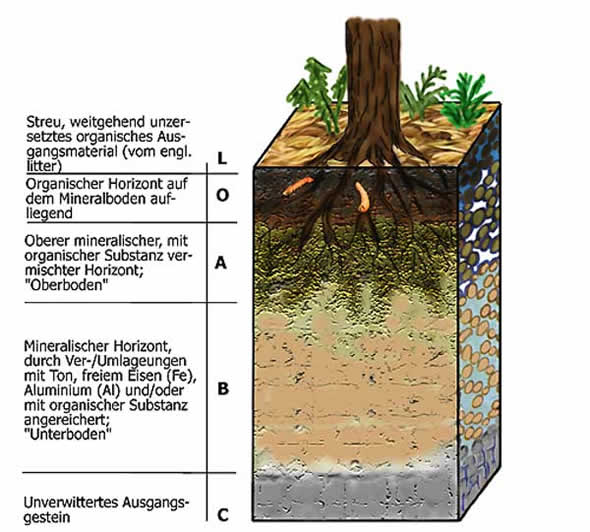 Aufbau des Bodens